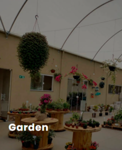 ESTUFA-AGRICOLA-PARA-GARDEN-CENTER.png