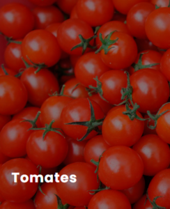 ESTUFA-AGRICOLA-PARA-TOMATE.png